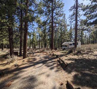 Camper-submitted photo from Meadow View Equestrian Campground