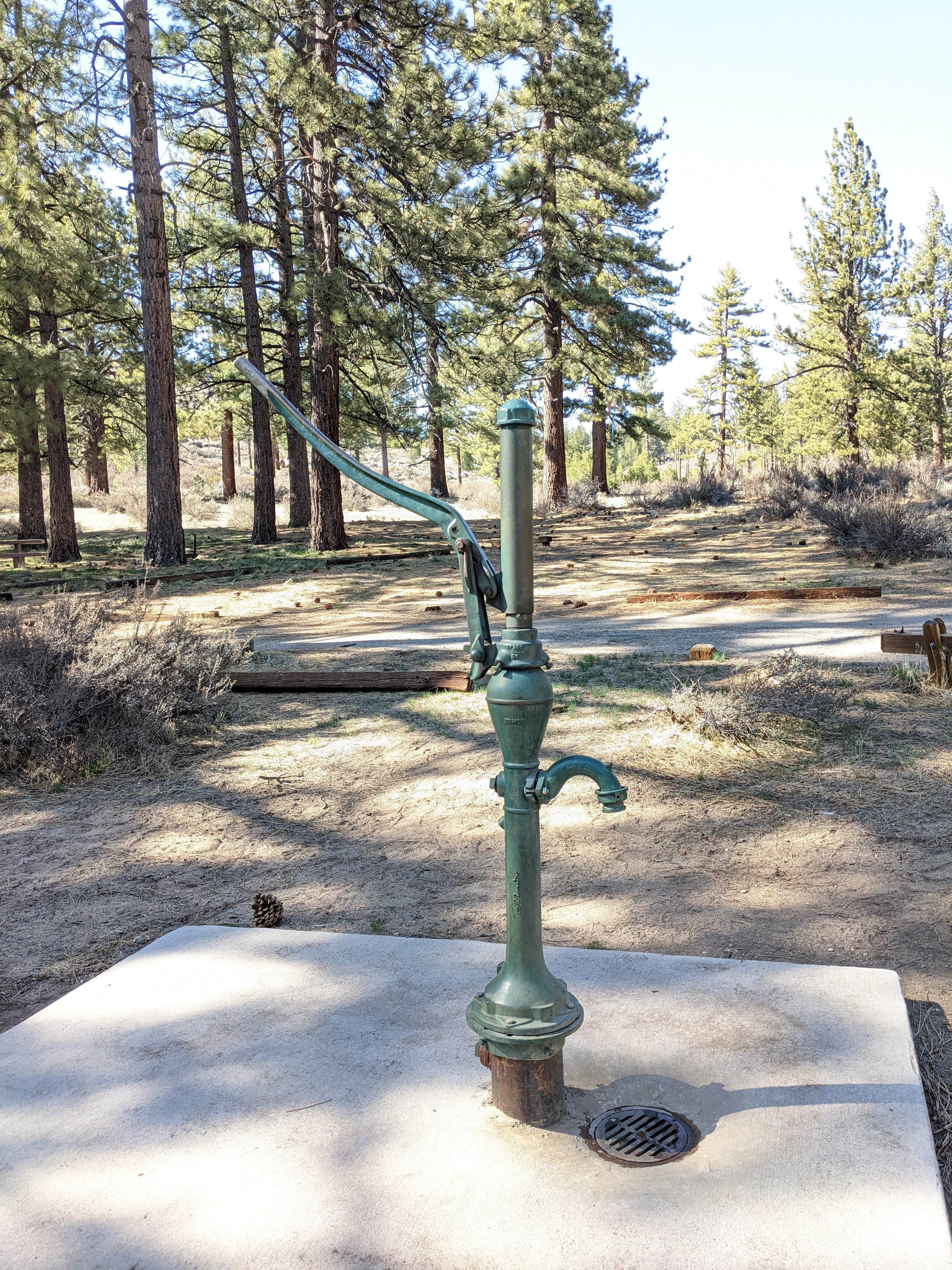 Camper submitted image from Meadow View Equestrian Campground - 3