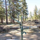 Review photo of Meadow View Equestrian Campground by Laura M., April 17, 2021