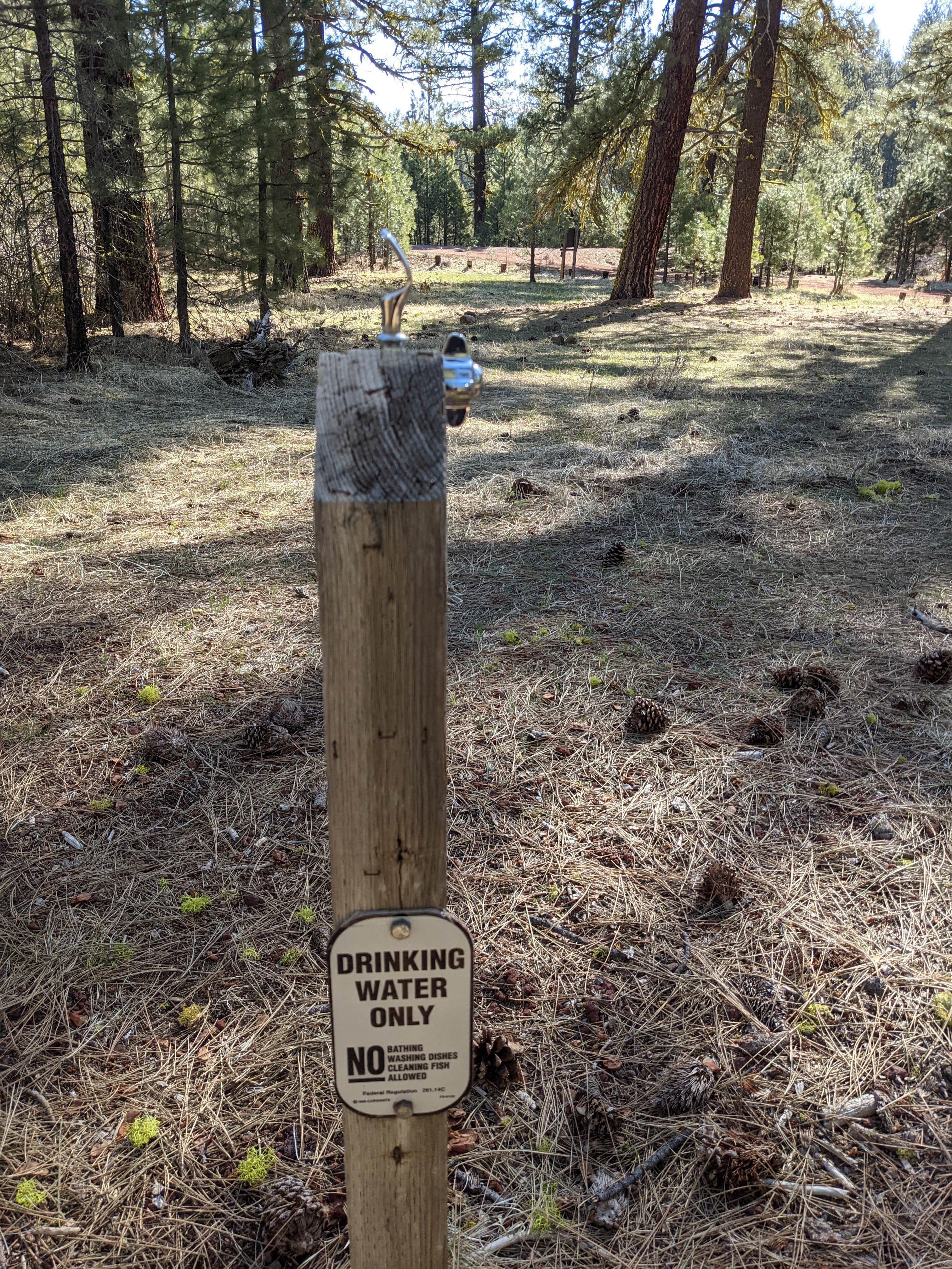 Camper submitted image from Goumaz Campground - Lassen National Forest - 3