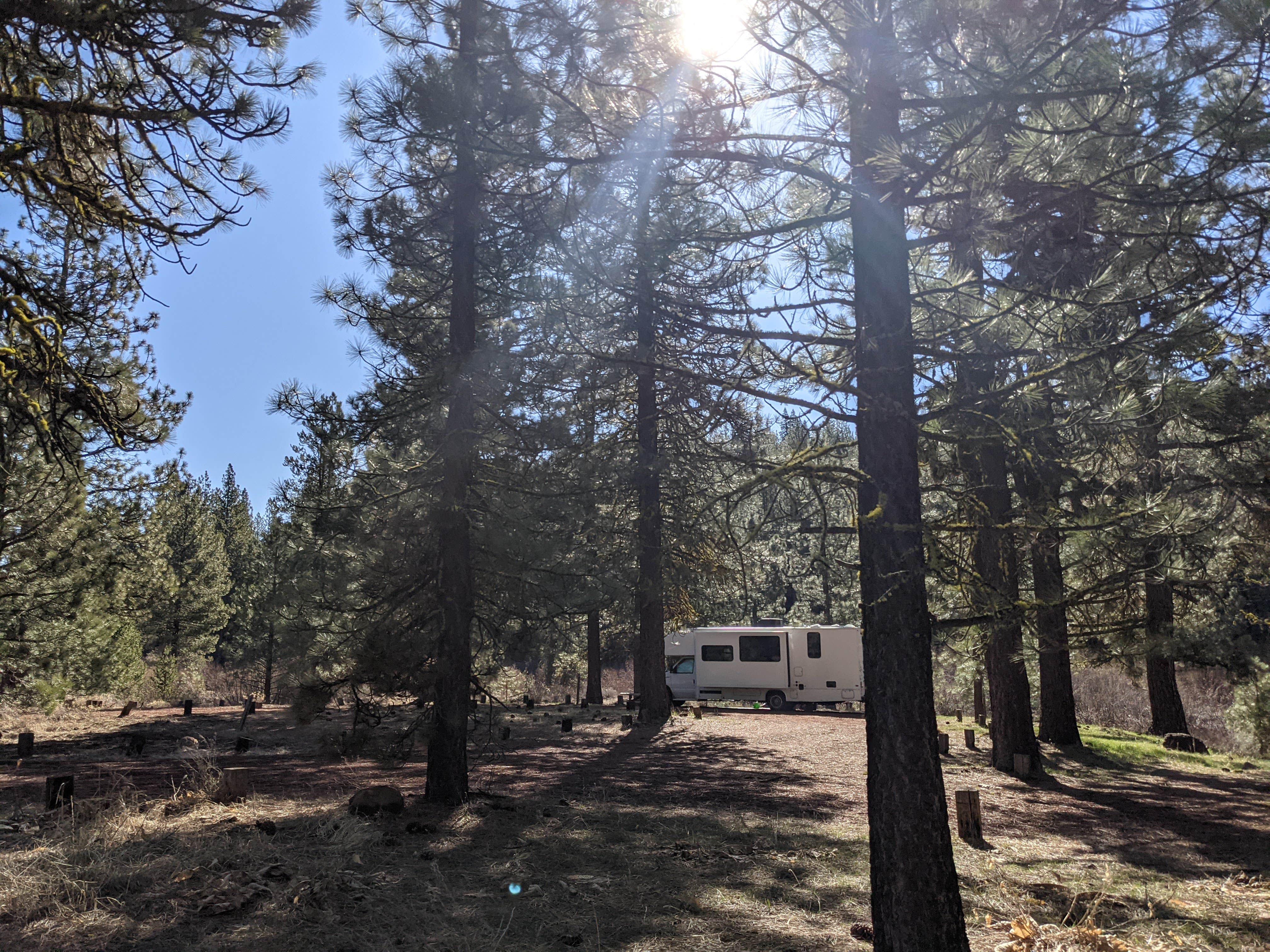 Laura M.'s photo of rv camping at Goumaz Campground - Lassen National Forest near Susanville, CA