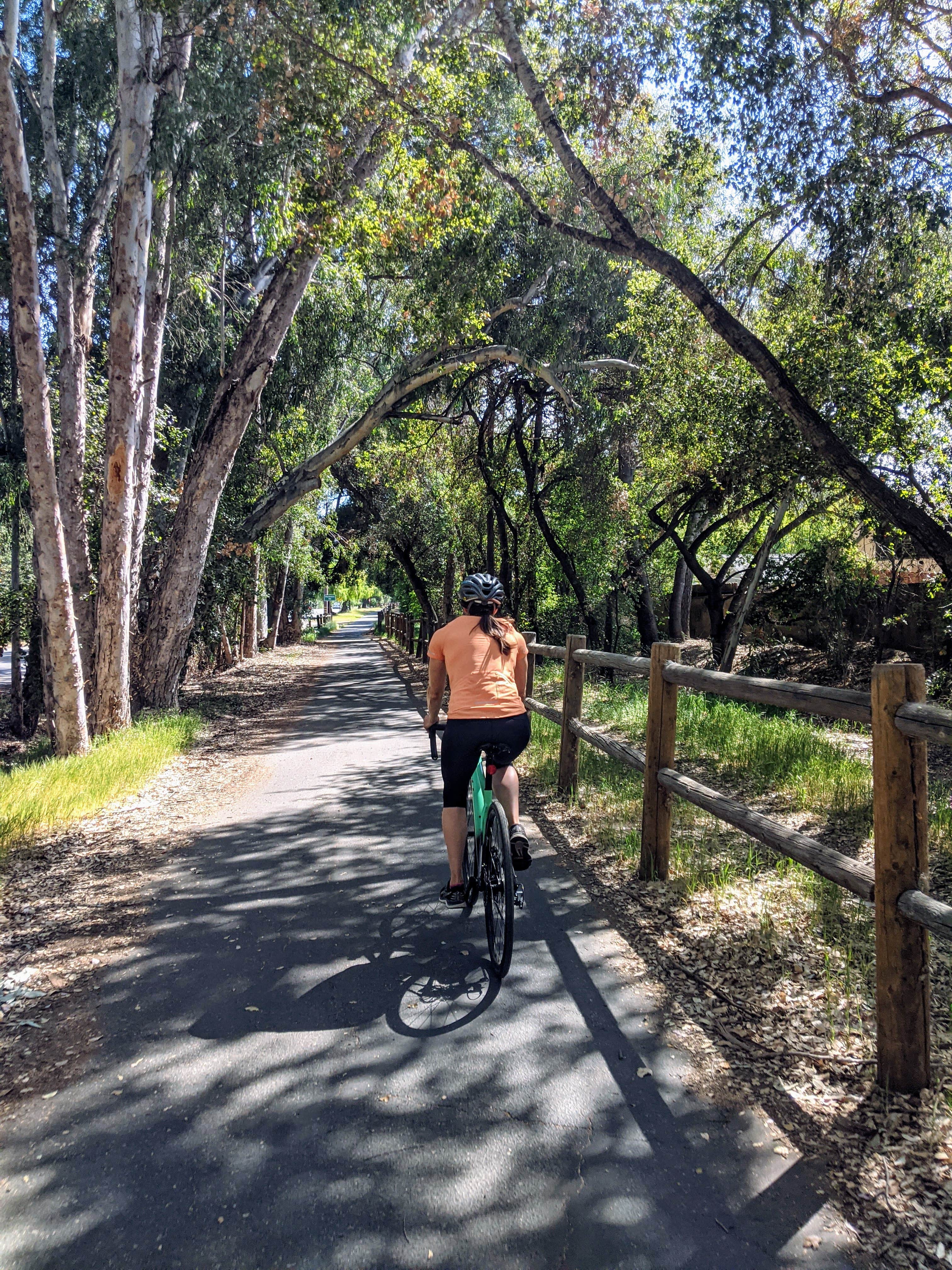 Foster Park Campground The Dyrt