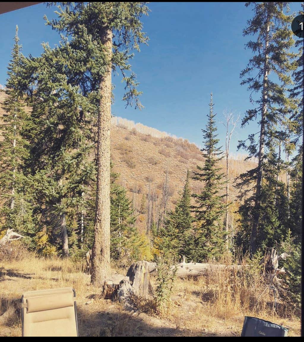 Camping near Starvation Dispersed: Clyde Creek Dispersed Camping, Wallsburg, Utah