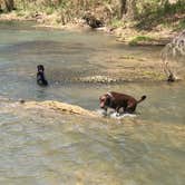 Review photo of Cossatot Falls Campsites — Cossatot River State Park - Natural Area by Chris , April 17, 2021