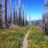 Review photo of Nottingham Campground by Julie P., May 31, 2018