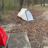 Review photo of Knob Noster State Park Campground by Nicole B., April 17, 2021