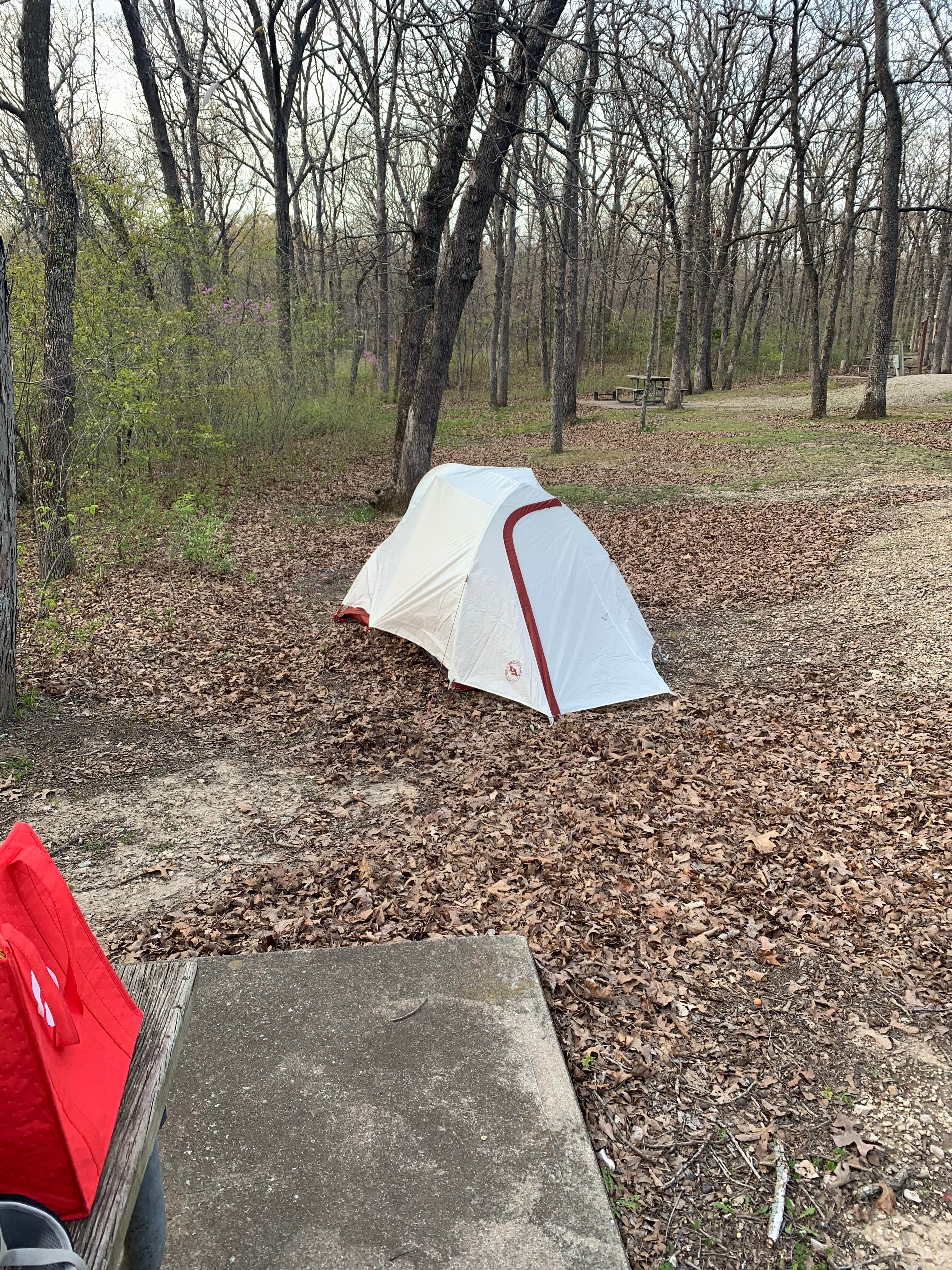 Camper submitted image from Knob Noster State Park Campground - 1