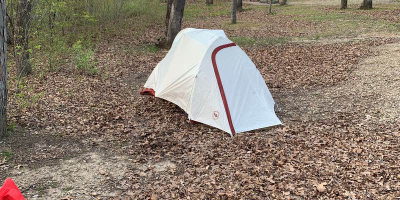 Camper submitted image from Knob Noster State Park Campground