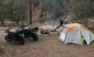 Camping near Cosmic Campground: Head Of The Ditch Campground, Alpine, New Mexico