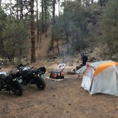 Review photo of Head Of The Ditch Campground by Sofia W., April 17, 2021