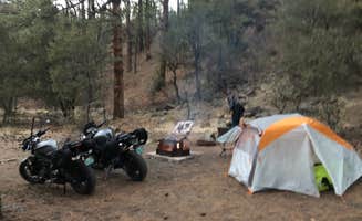 Sofia W.'s photo at Head Of The Ditch Campground near Reserve, NM