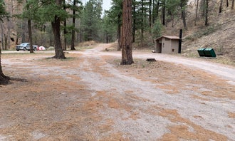 Camping near Camp Thunderbird: Railroad Canyon Campground, Mimbres, New Mexico
