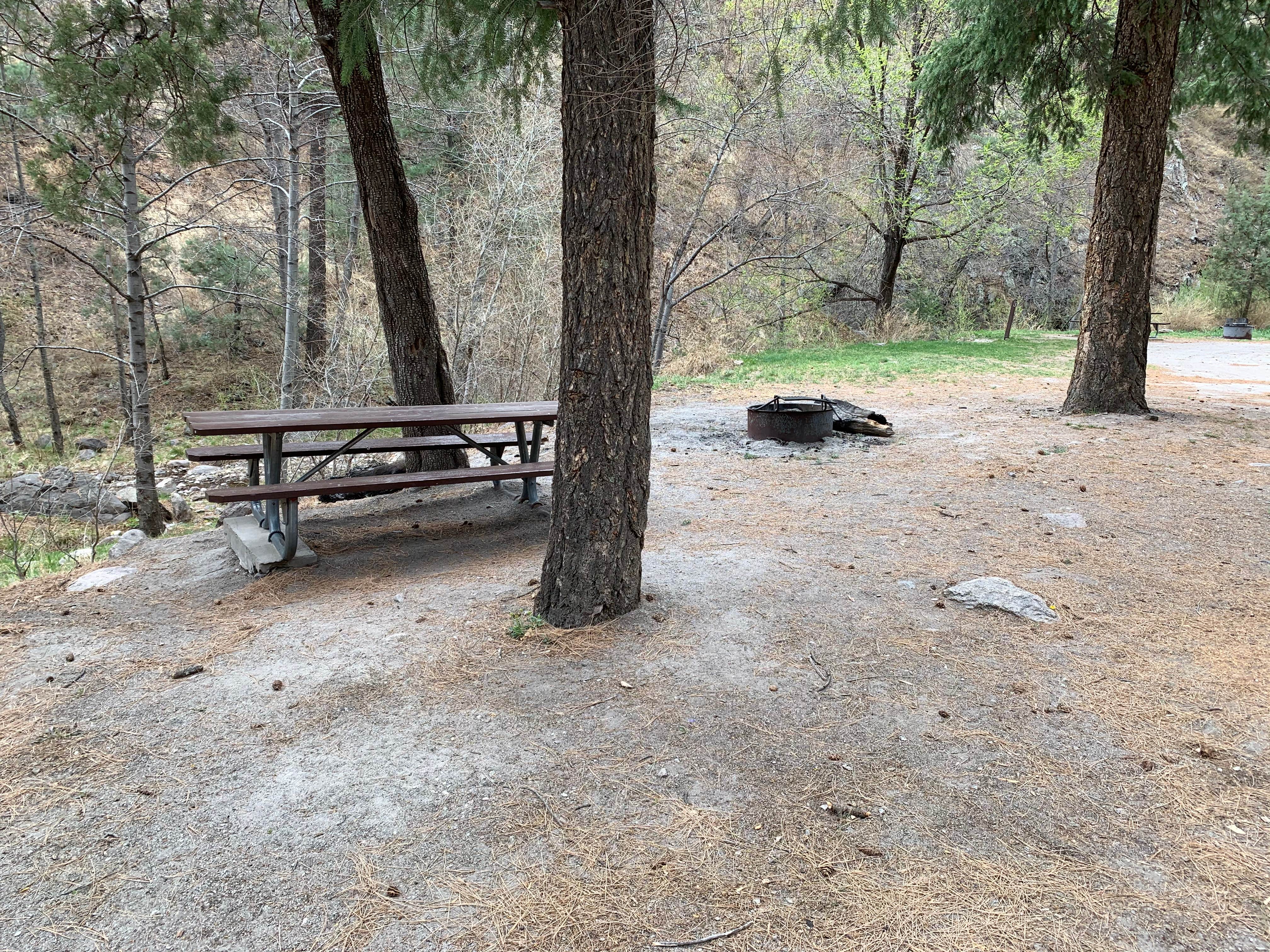 Camper submitted image from Railroad Canyon Campground - 4