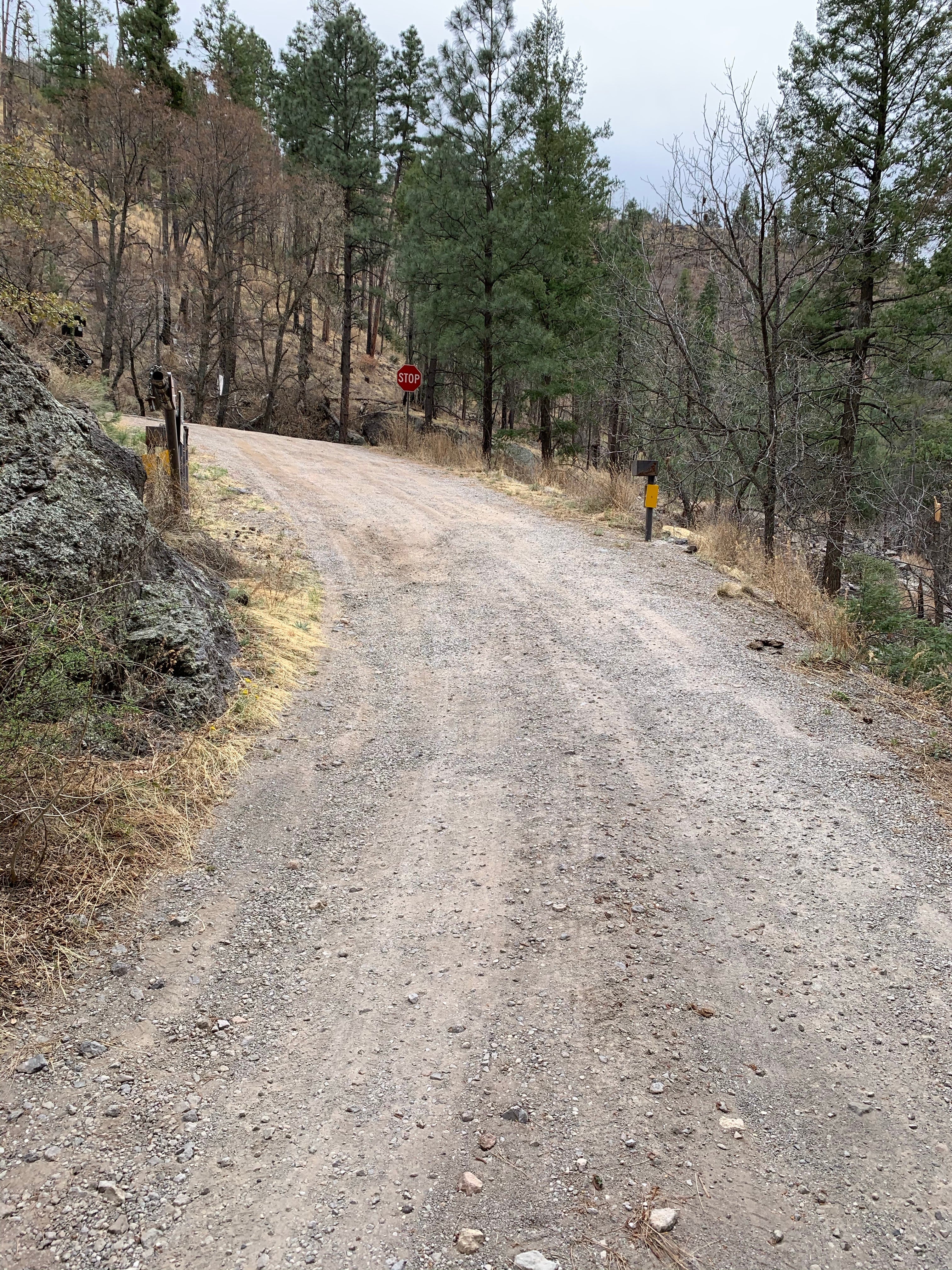 Camper submitted image from Railroad Canyon Campground - 5