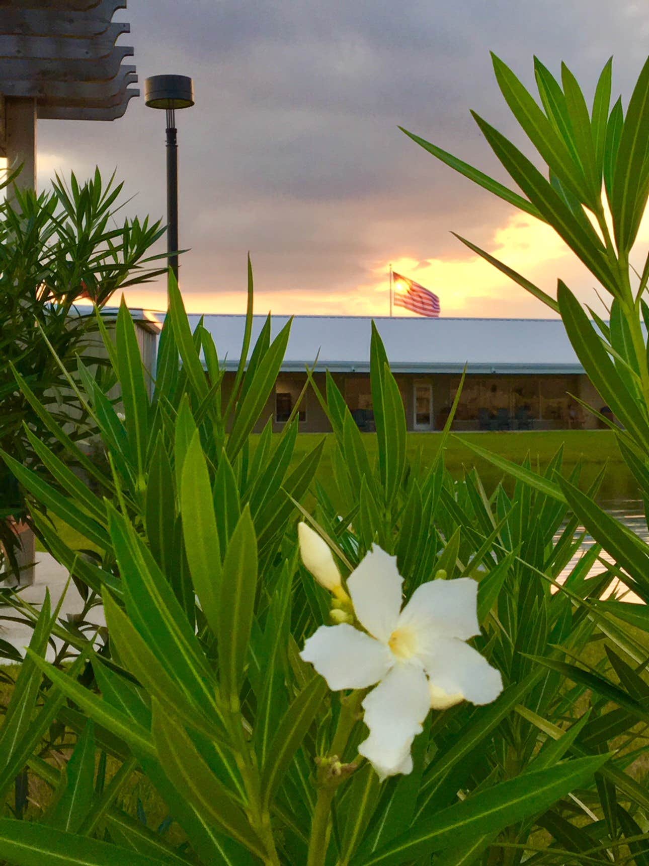 Camper-submitted photo at Highway 6 RV Resort near Stafford, TX