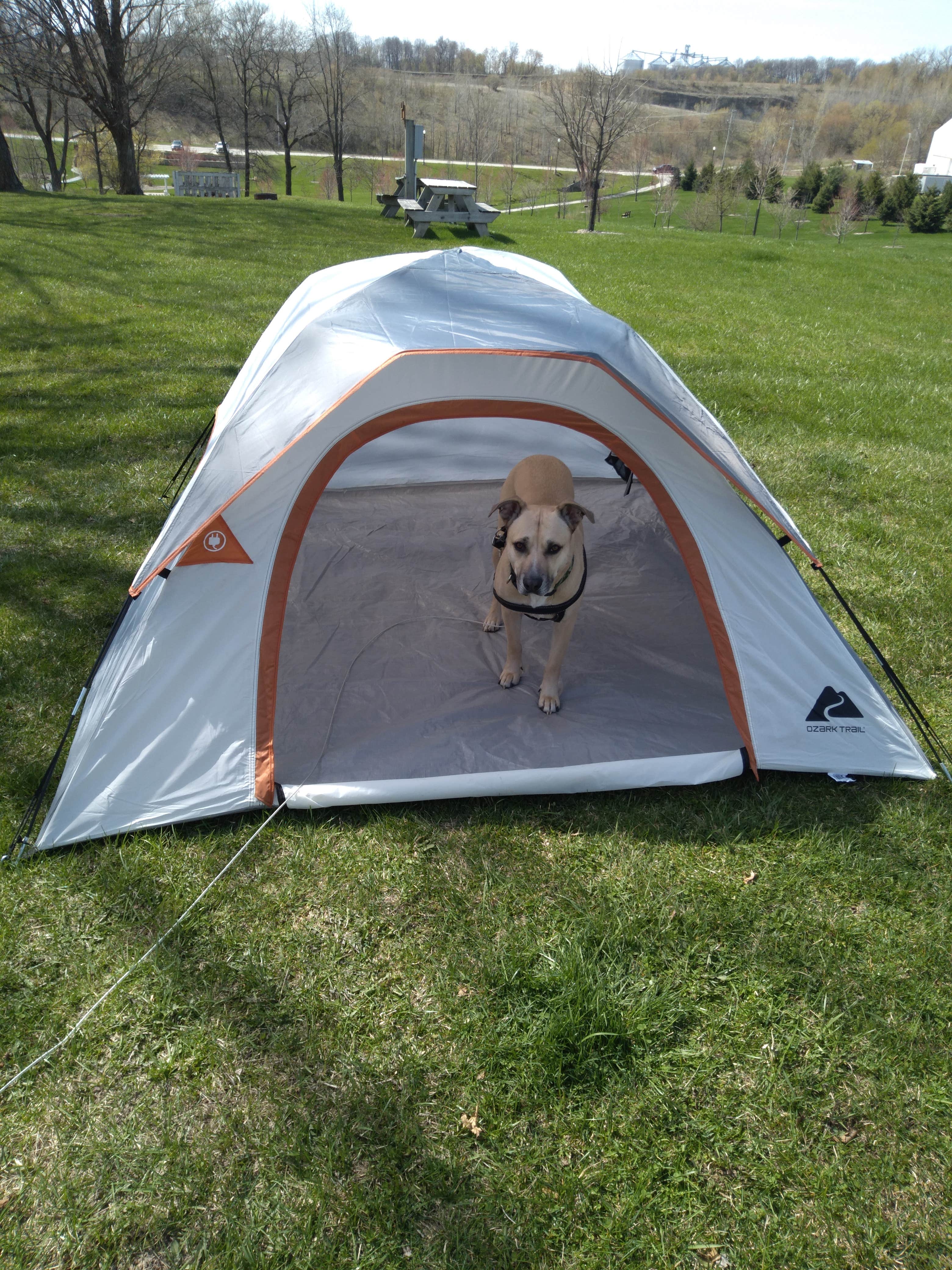 Camper-submitted photo at Waukon City Park near Lansing, IA