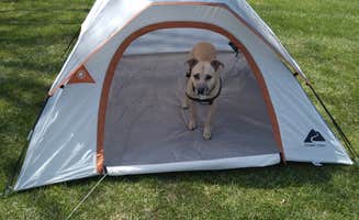 Jay W.'s photo at Waukon City Park near Prairie du Chien, WI