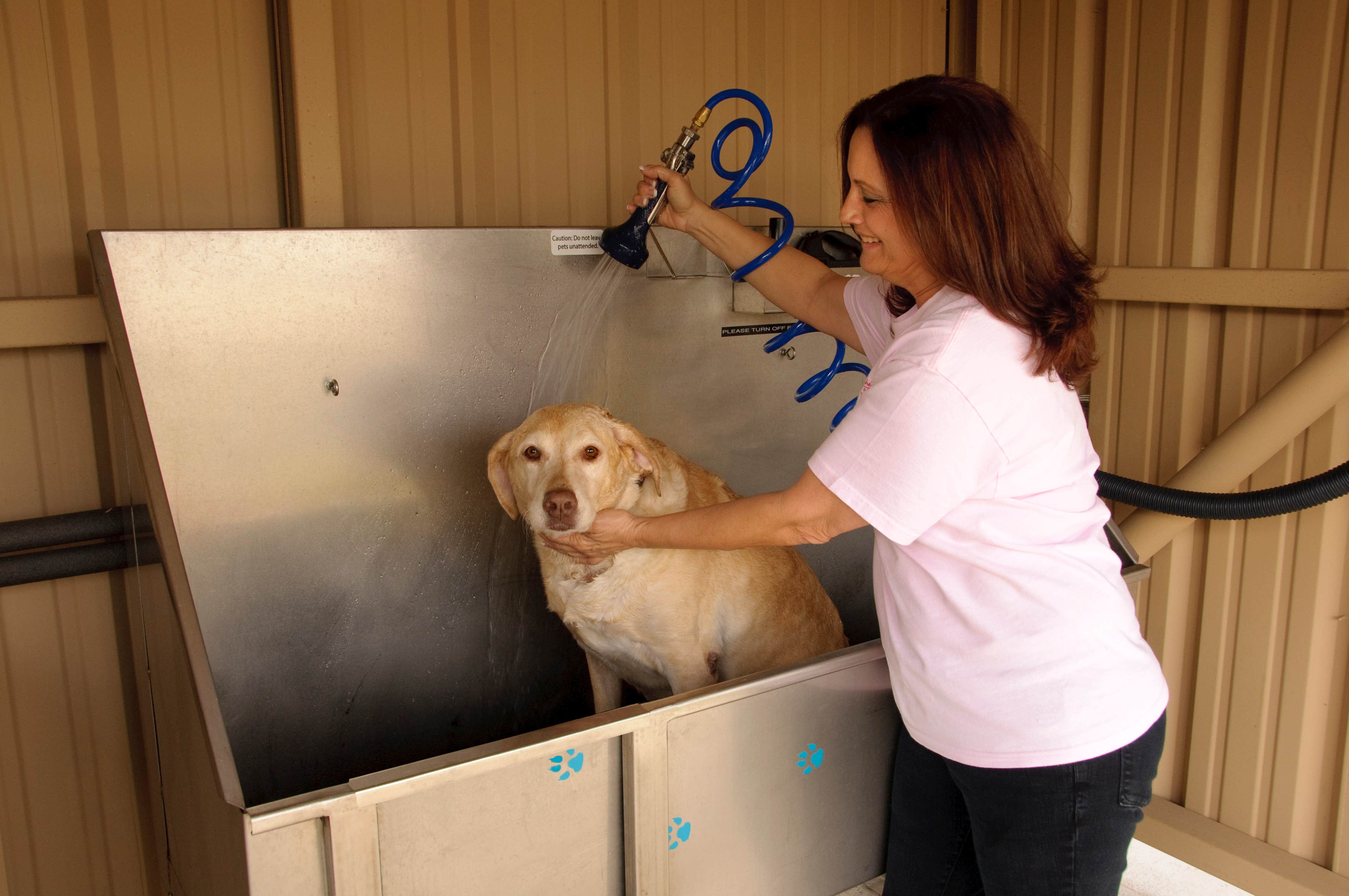 QRV R.'s photo of camping with pets at AllStar RV Resort near Rosenberg, TX