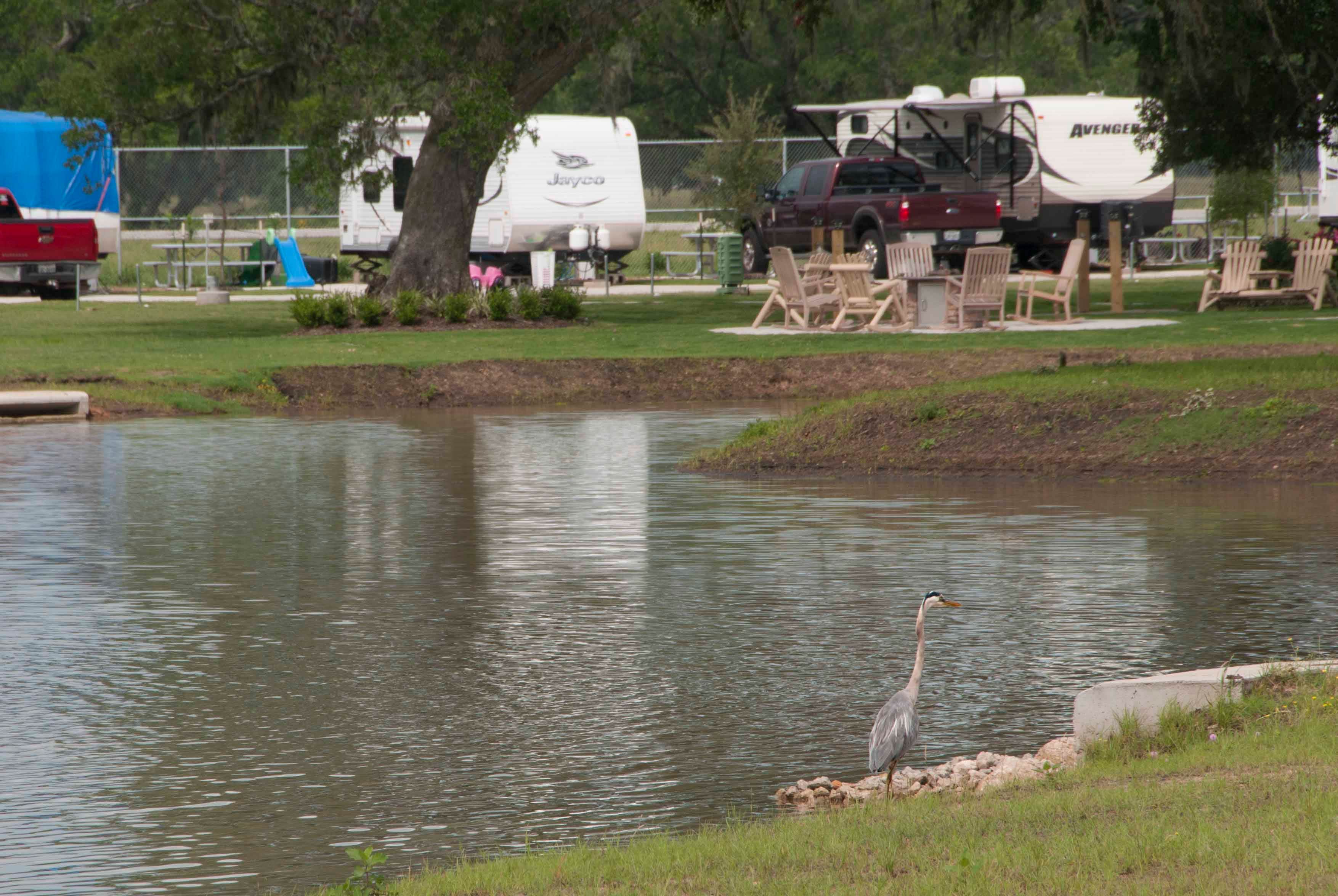 Camper submitted image from Brazoria Lakes RV Resort - 3
