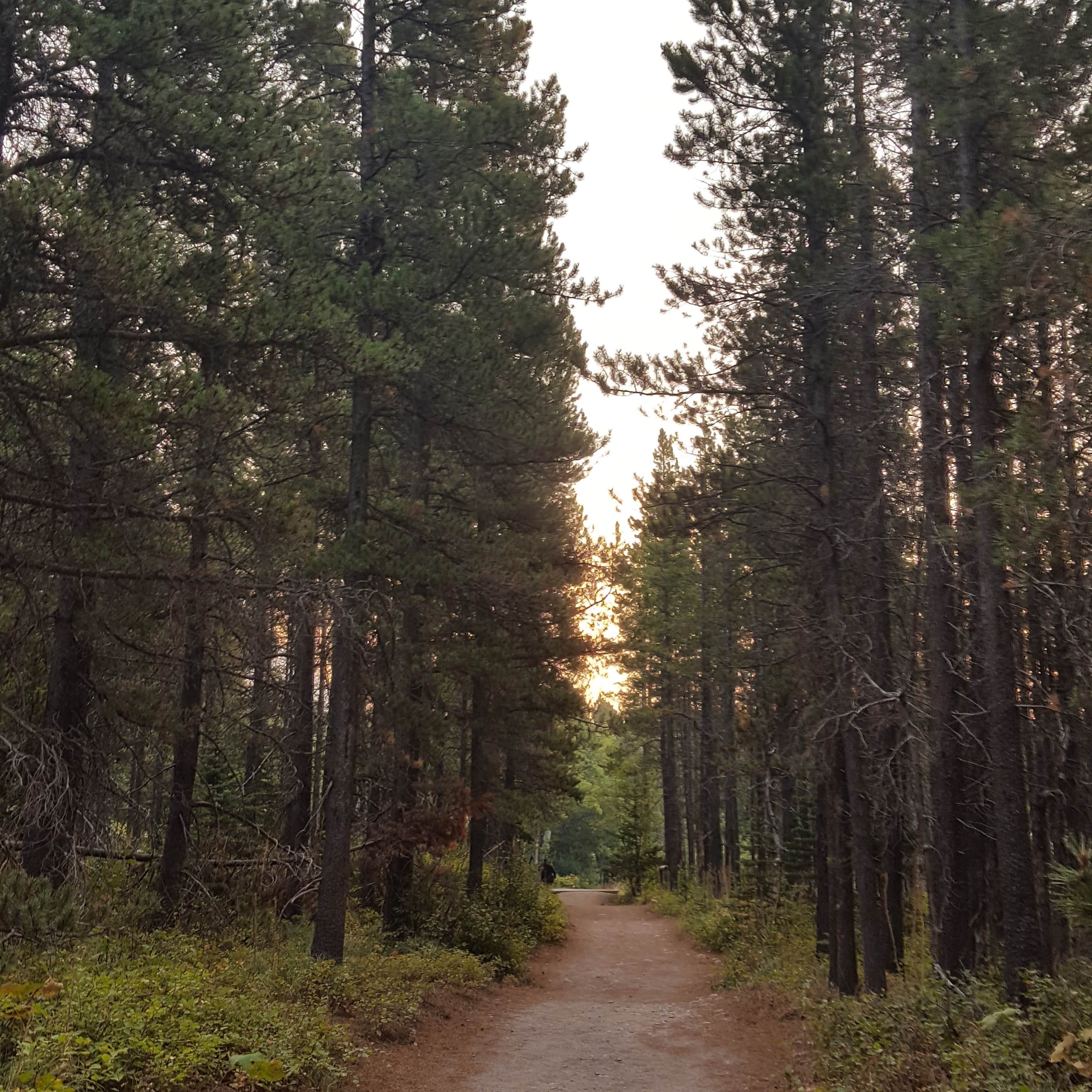 Montana	St. Mary Campground (Glacier National Park)Title