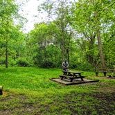 Review photo of Rivers Edge Camping Area (Bridgeport Quarry Trailhead) by Shari  G., May 31, 2018