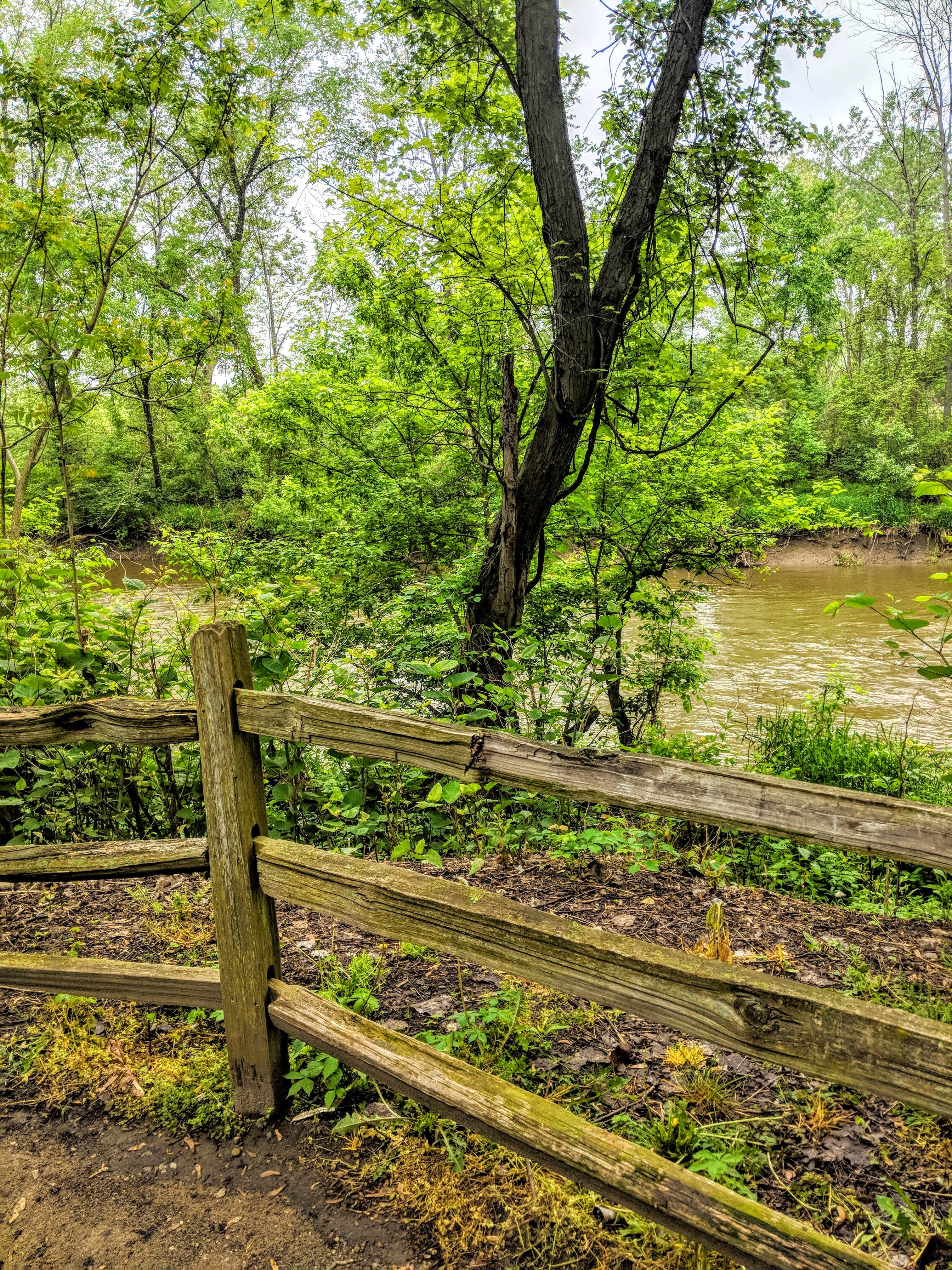 Camper-submitted photo at Rivers Edge Camping Area (Bridgeport Quarry Trailhead) near Wadsworth, OH