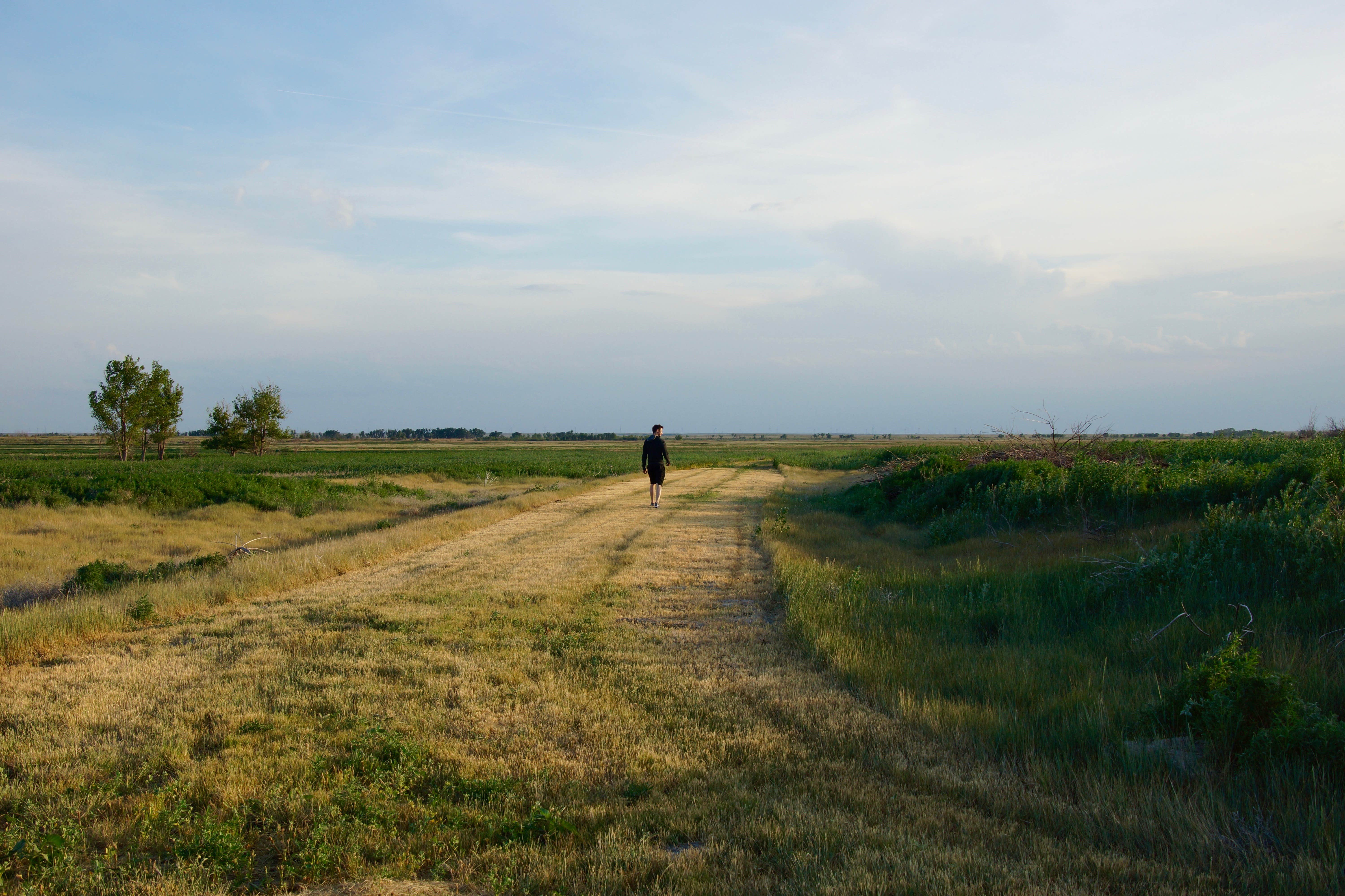 Camper submitted image from Buffalo Lake National Wildlife Refuge - 3