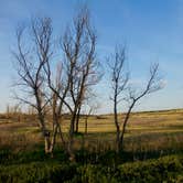 Review photo of Buffalo Lake National Wildlife Refuge by Kelsey L., May 31, 2018