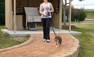 QRV R.'s photo of camping with pets at Lakeview RV Resort near Bellaire, TX