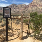 Review photo of Red Rock Canyon National Conservation Area - Red Rock Campground by Deacon J., May 31, 2018