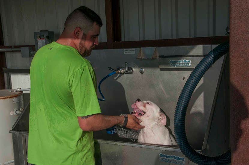 QRV R.'s photo of camping with pets at Mont Belvieu RV Resort near Anahuac, TX