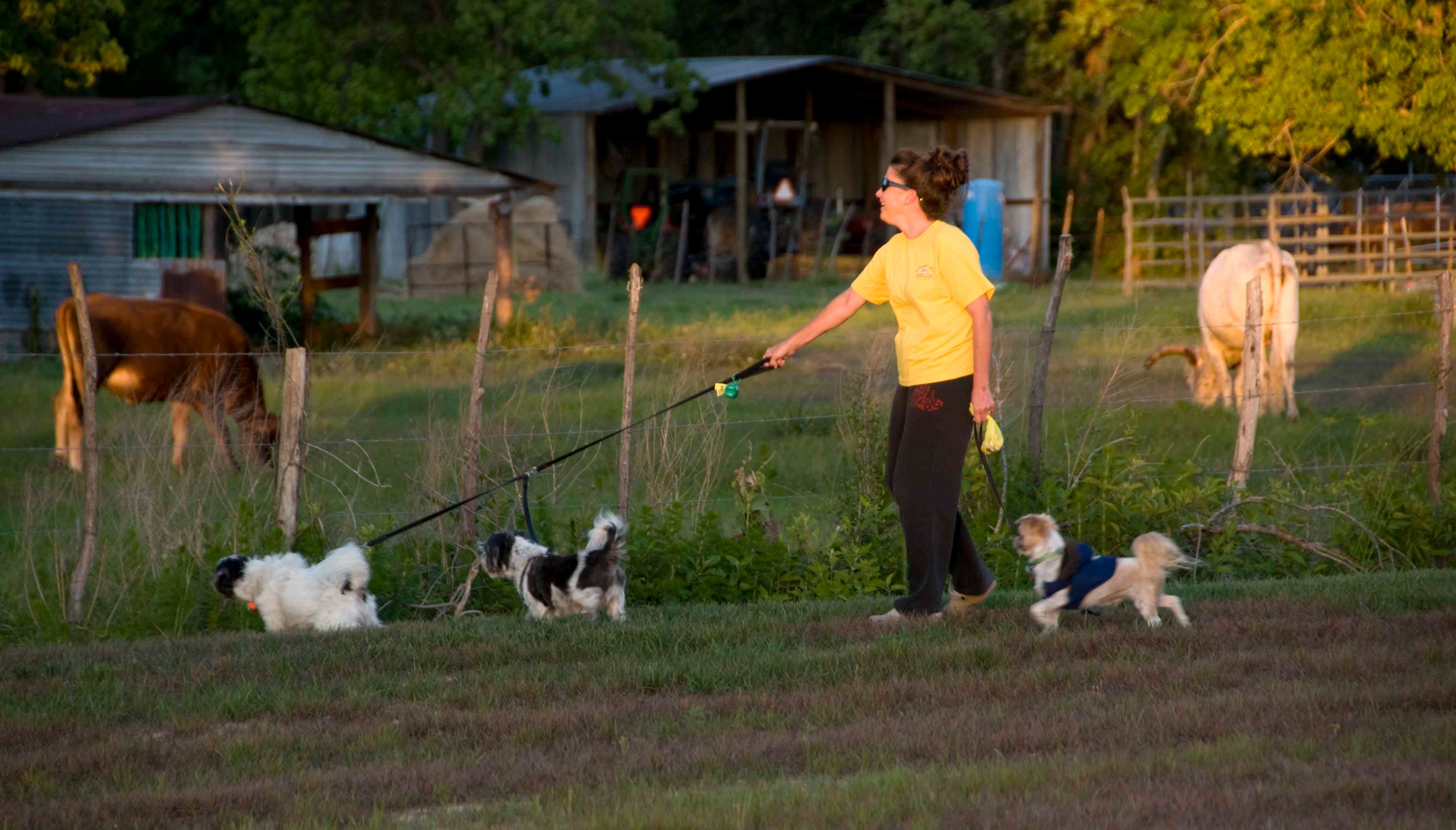 QRV R.'s photo of camping with pets at Northlake RV Resort near Cleveland, TX