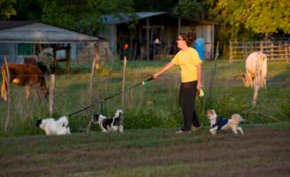QRV R.'s photo of camping with pets at Northlake RV Resort near Bellaire, TX