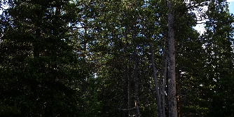 Camper submitted image from West Tensleep Lake