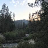 Review photo of Wawona Campground — Yosemite National Park by Queenie M., May 31, 2018
