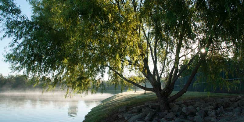 Camper submitted image from Southlake RV Resort