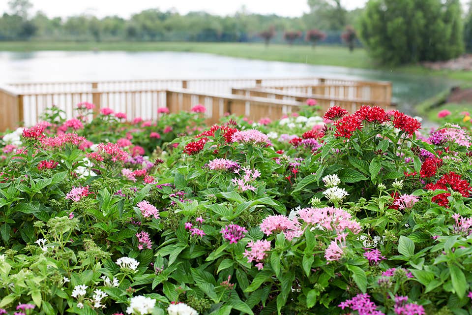 Camper-submitted photo at Southlake RV Resort near South Houston, TX