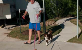QRV R.'s photo of camping with pets at Southlake RV Resort near Bellaire, TX