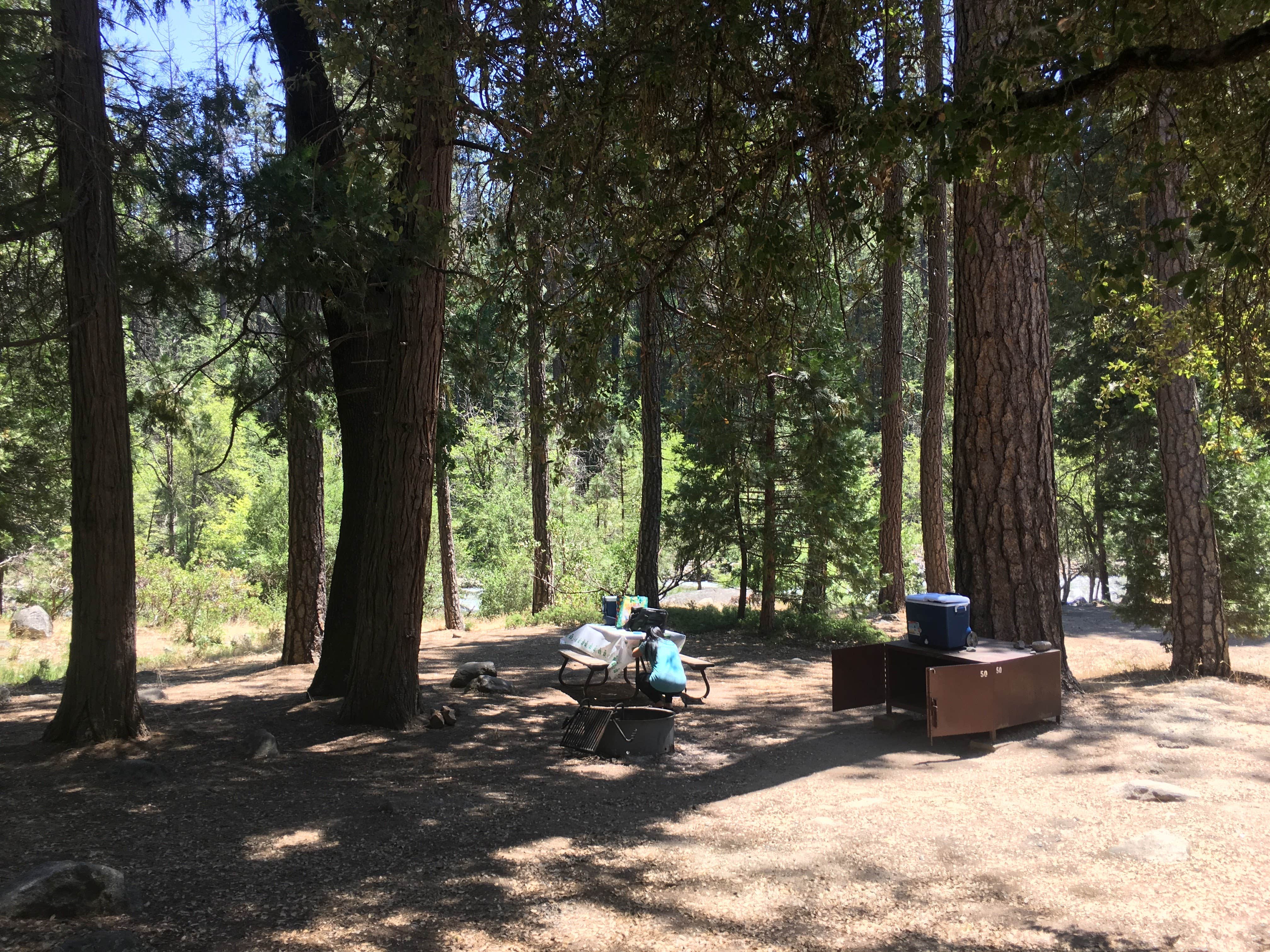 Queenie M.'s photo at Wawona Campground — Yosemite National Park near Wawona, CA