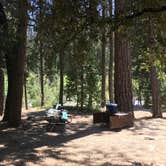 Review photo of Wawona Campground — Yosemite National Park by Queenie M., May 31, 2018