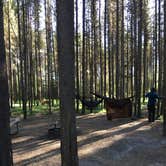 Review photo of Bowman Lake Campground — Glacier National Park by Erica V., May 31, 2018