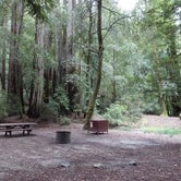Review photo of Lower Blooms Creek — Big Basin Redwoods State Park — CAMPGROUND CLOSED by Queenie M., May 31, 2018