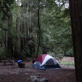 Review photo of Lower Blooms Creek — Big Basin Redwoods State Park — CAMPGROUND CLOSED by Queenie M., May 31, 2018