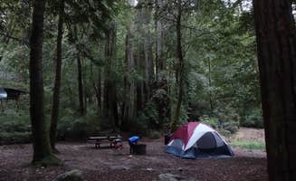 Queenie M.'s photo at Lower Blooms Creek — Big Basin Redwoods State Park — CAMPGROUND CLOSED near Campbell, CA