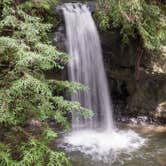 Review photo of Lower Blooms Creek — Big Basin Redwoods State Park — CAMPGROUND CLOSED by Queenie M., May 31, 2018