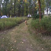 Review photo of Cross Ranch State Park Campground by Erica V., May 31, 2018