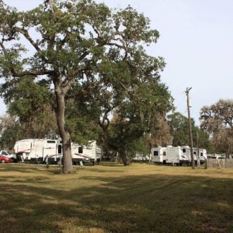 Camper submitted image from Bayou Oaks RV Park - 1