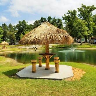 Camper-submitted photo at QRV Conroe near Cleveland, TX