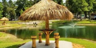 Camper submitted image from QRV Conroe