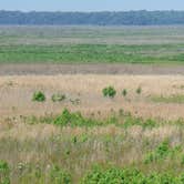 Review photo of Paynes Prairie Preserve State Park Campground by Richard P., April 17, 2021